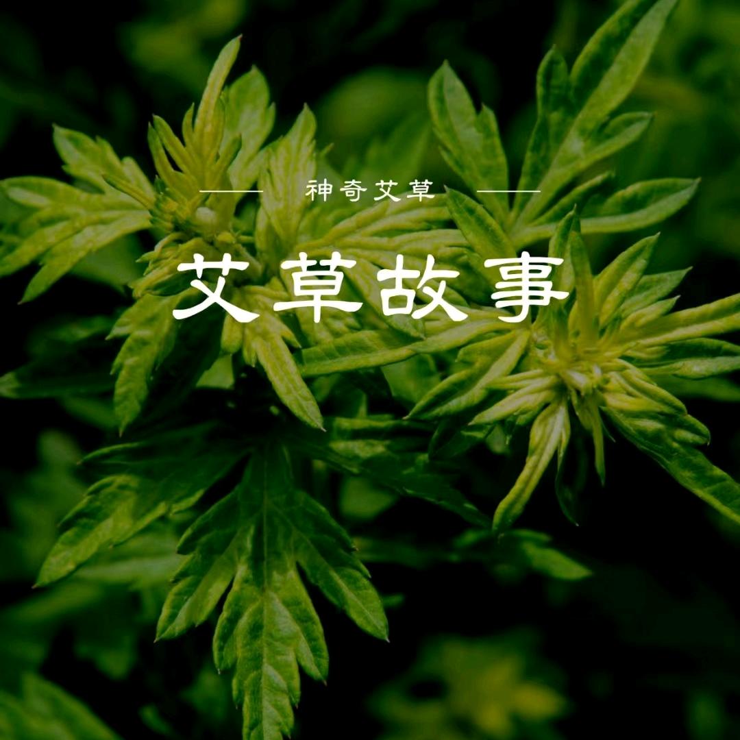艾之兴艾绒艾条艾柱