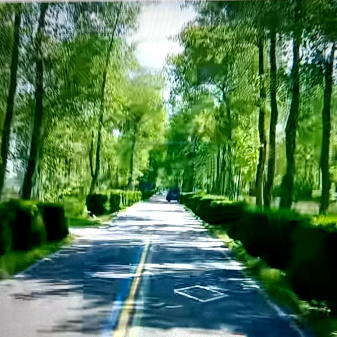 用户5428733832231