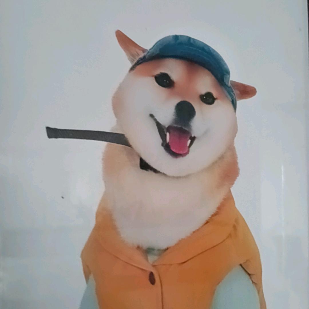 丽明惠品（宠物用品）