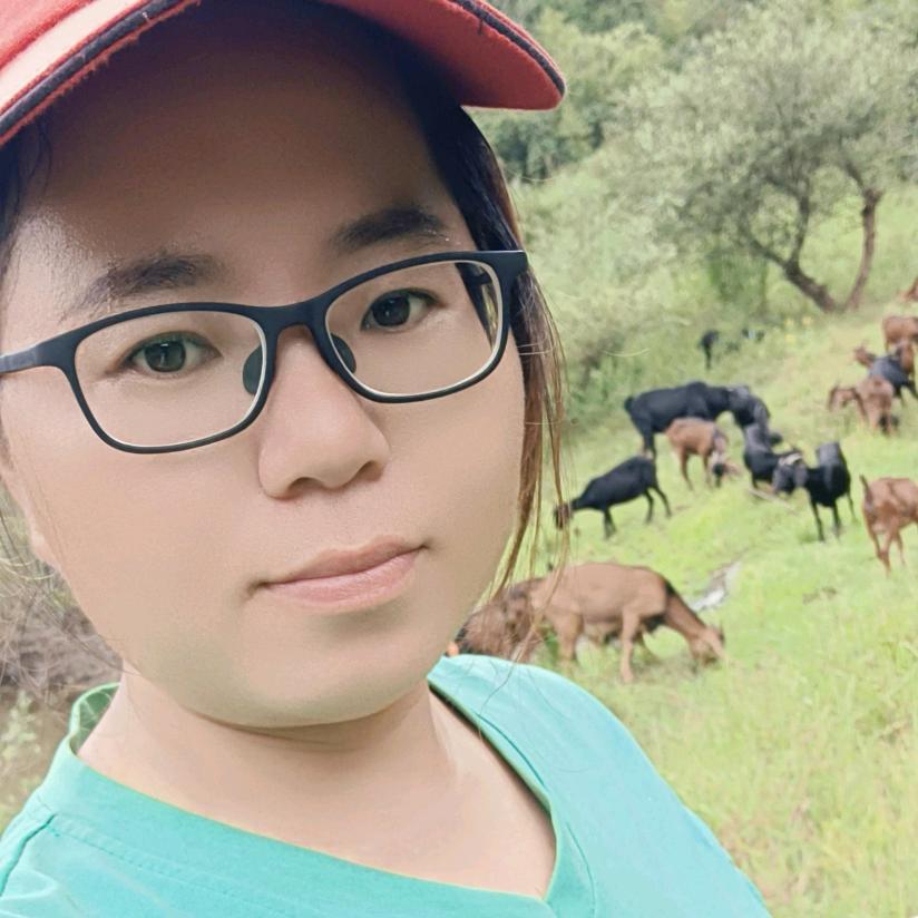 乡村&羊妞（老伙夫酒席）