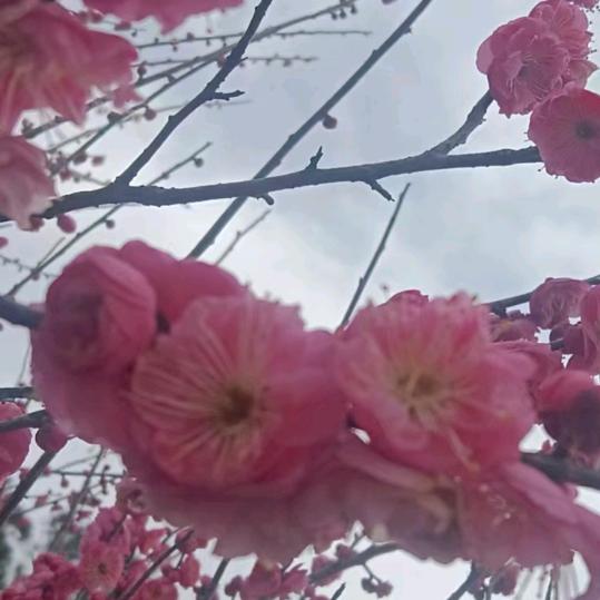 且行且看且随风。