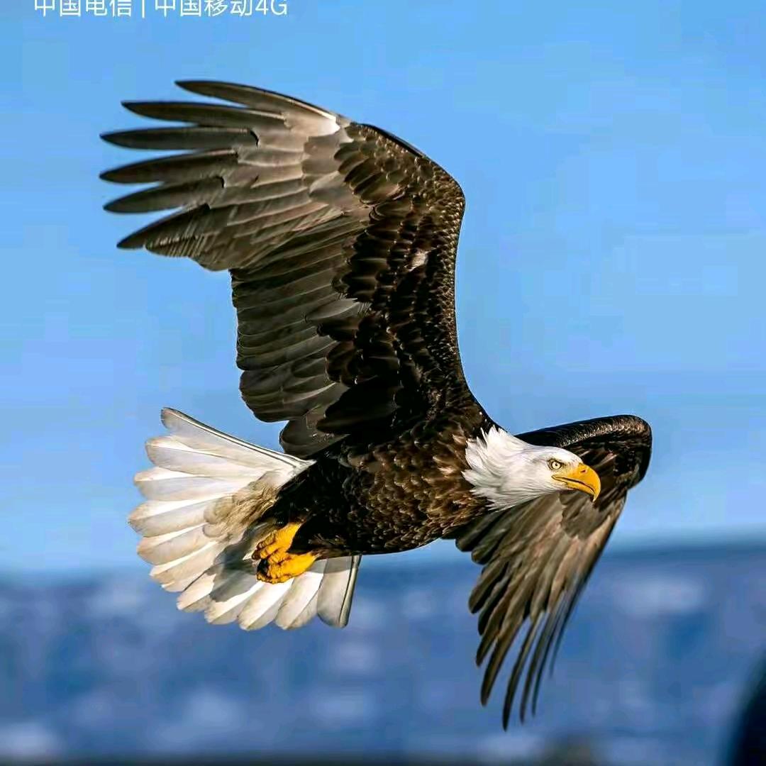 ❤️孤独的酒❤️