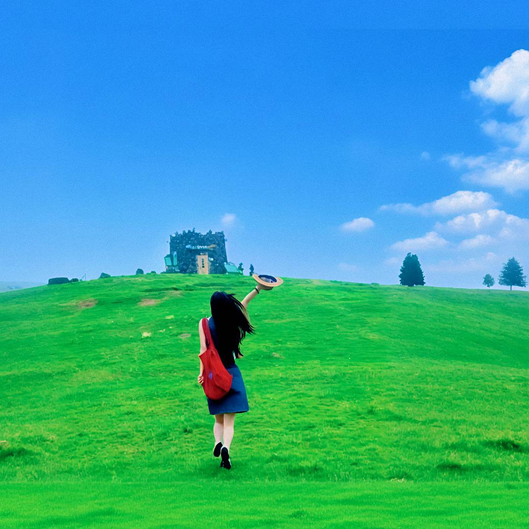 追风旅行