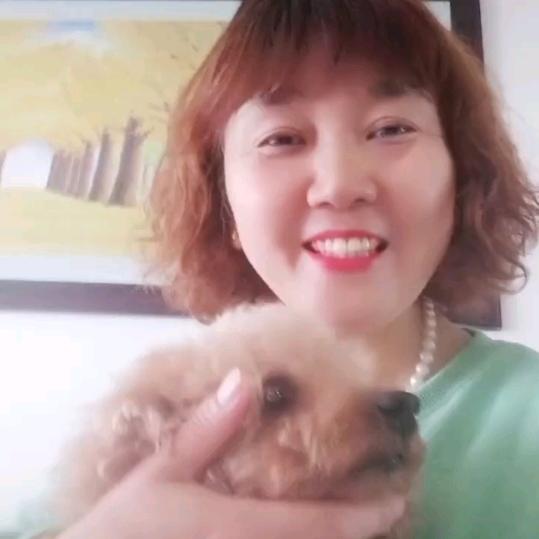 美美爱歌唱