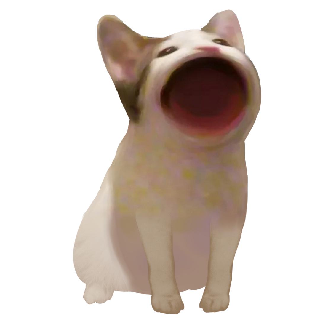 有趣的猫me