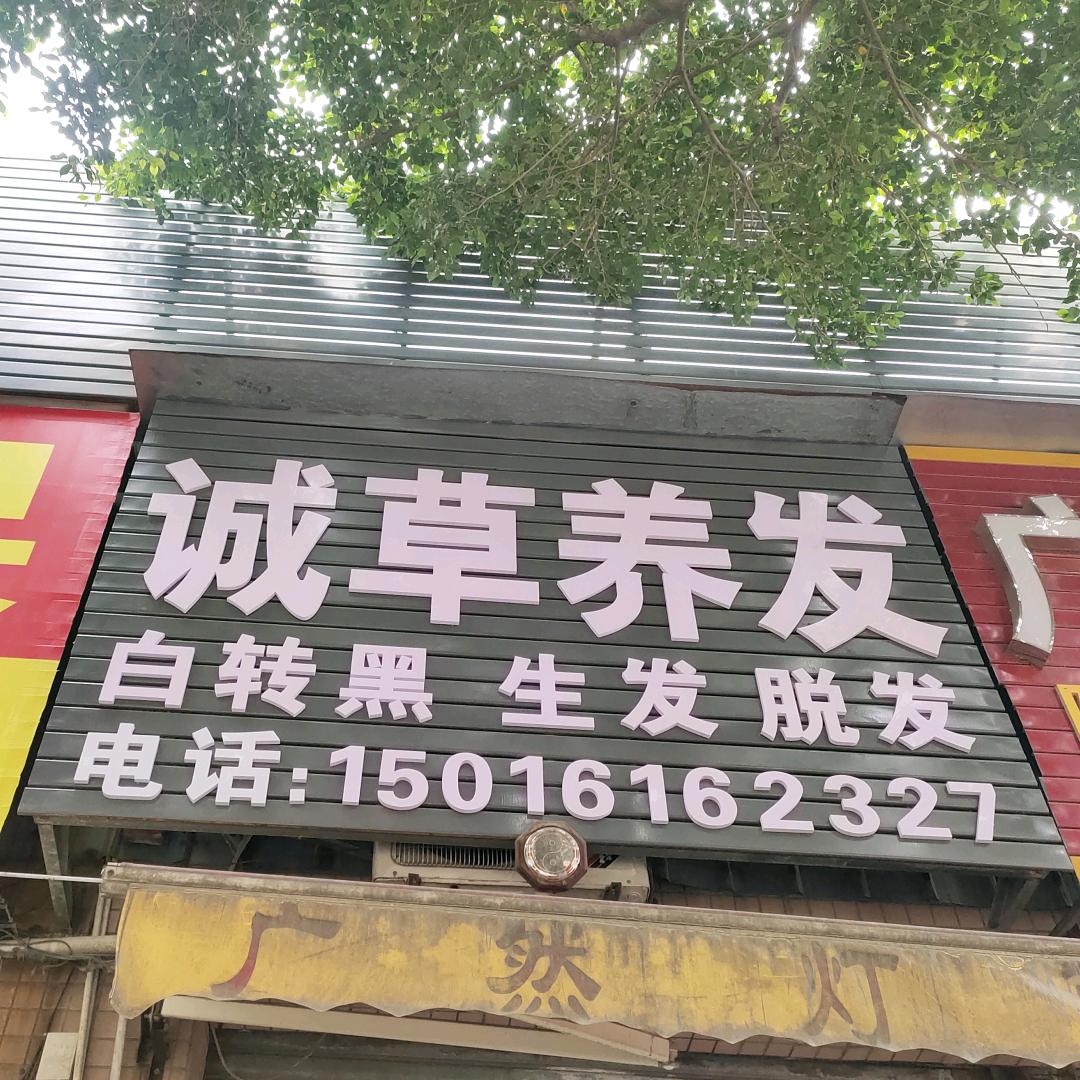 诚草养发馆