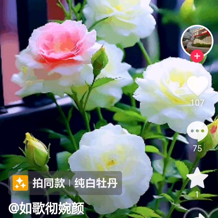 顺其自然