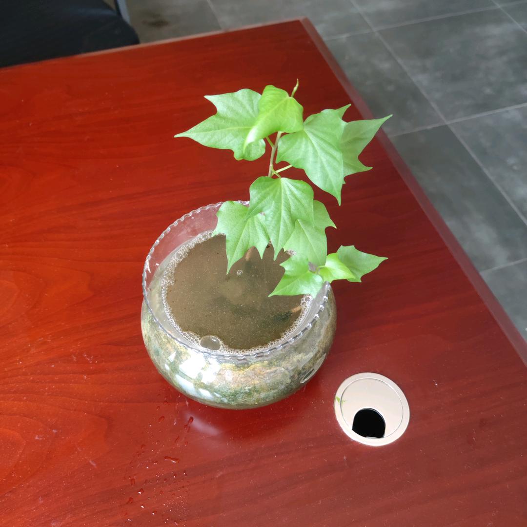 一点壞