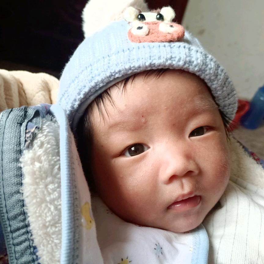 叨叨导游