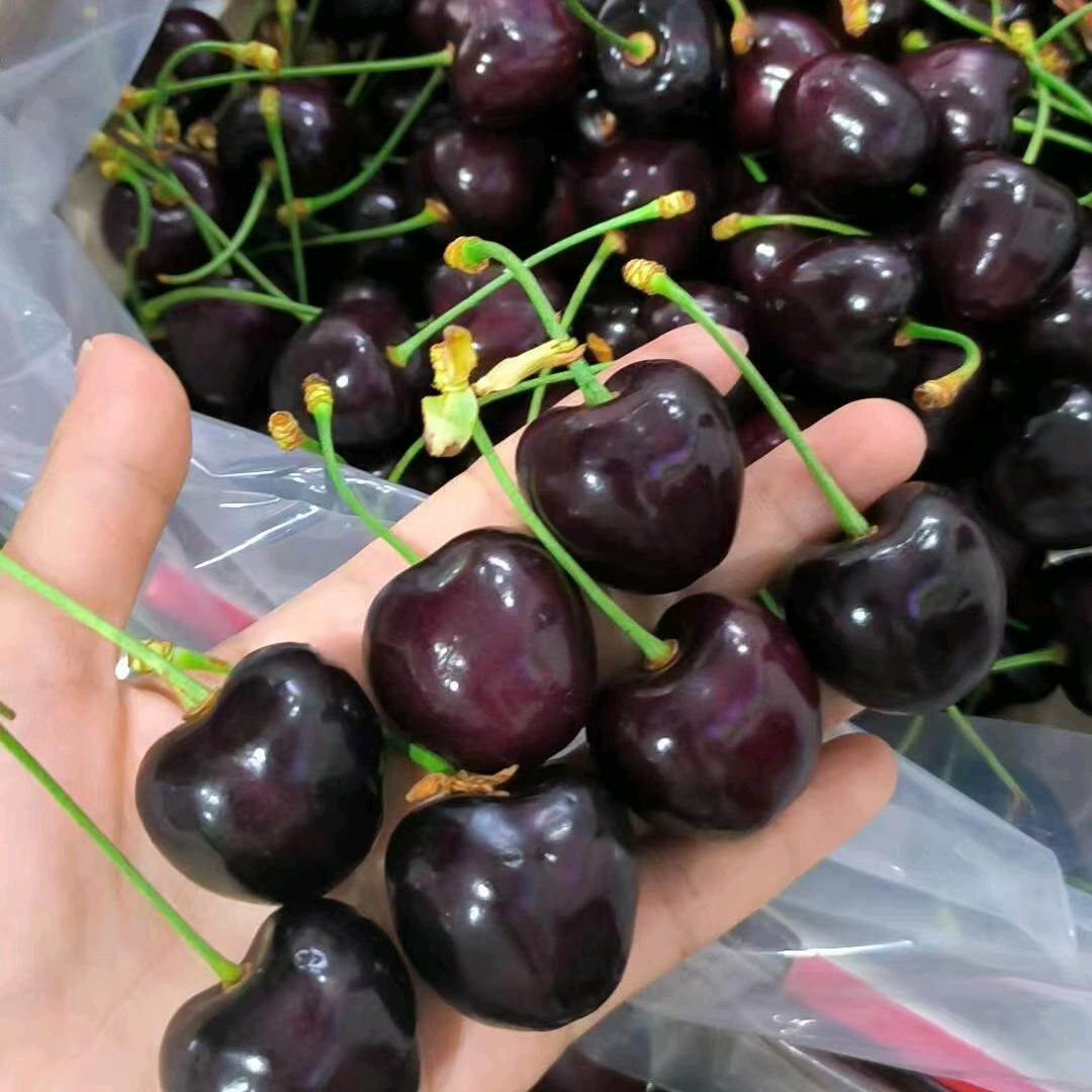 阿明榴莲代采，批发