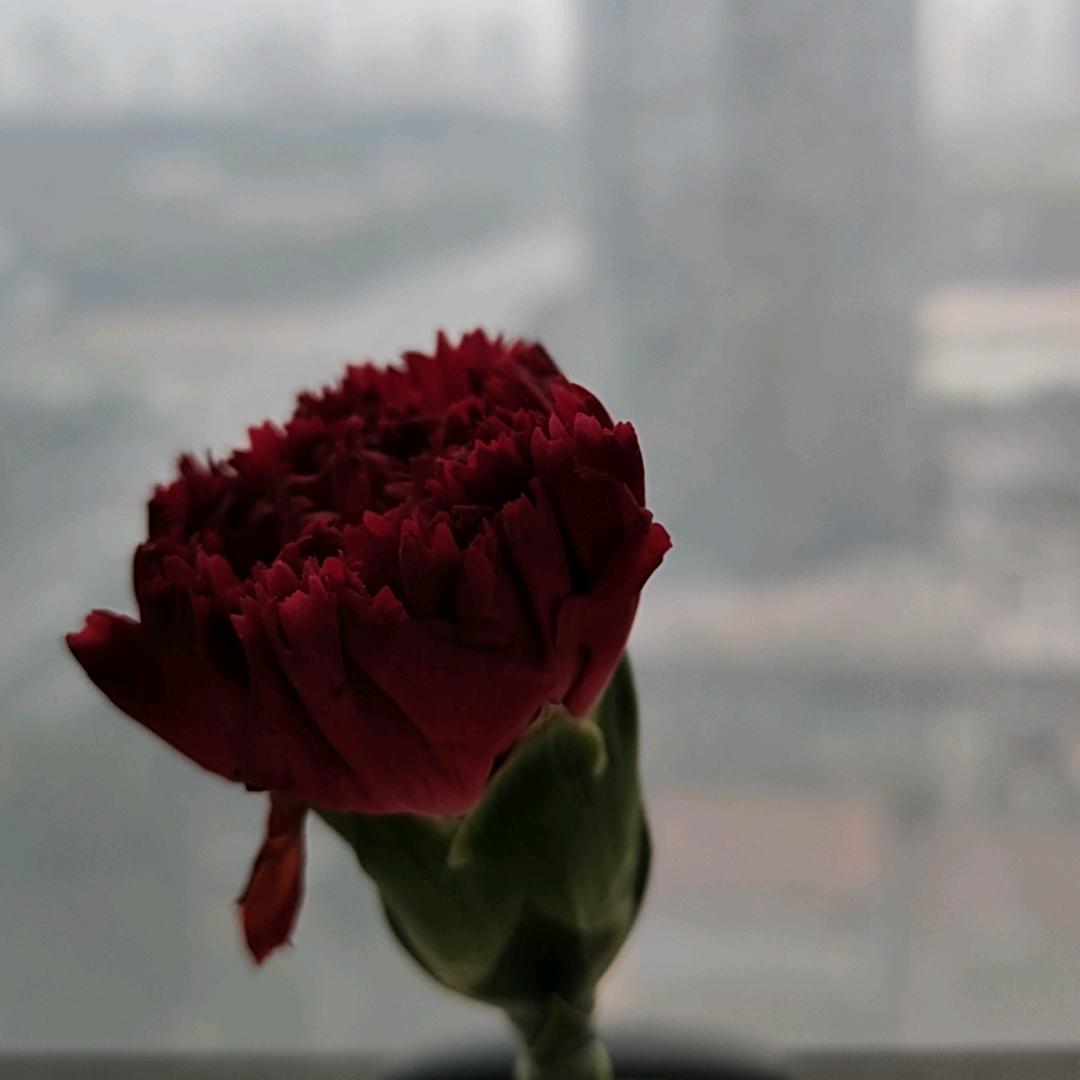 阳光