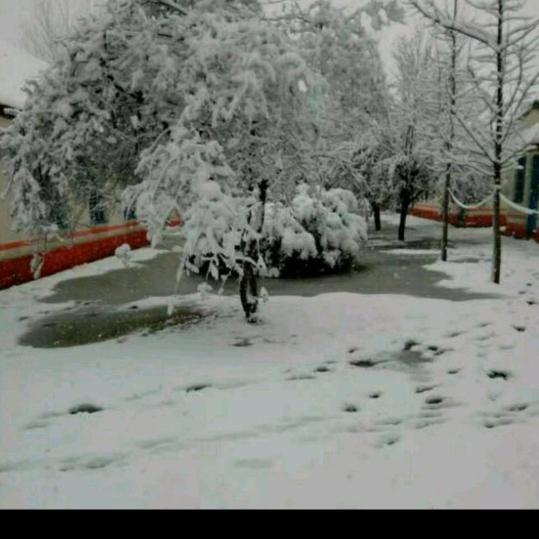 瑞雪。