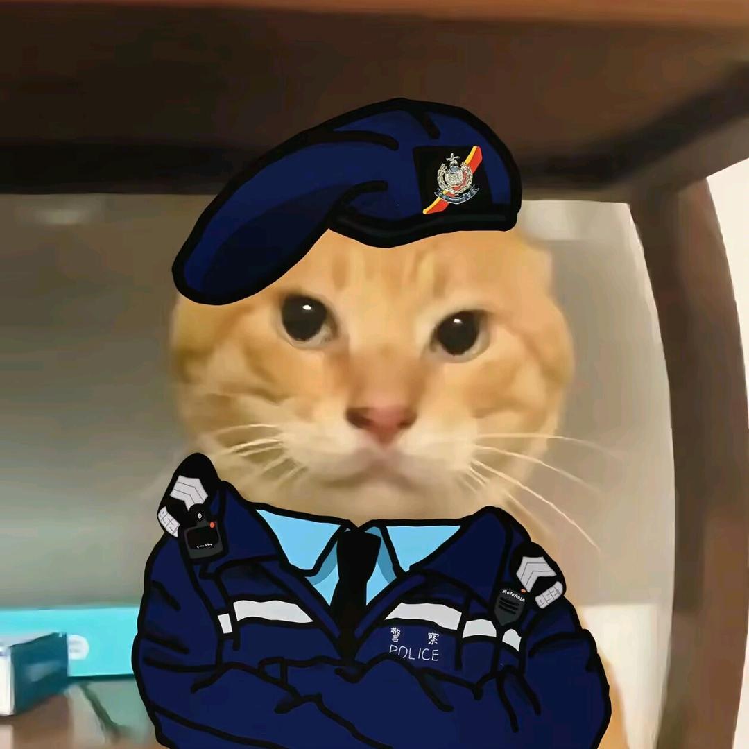 橘猫大王
