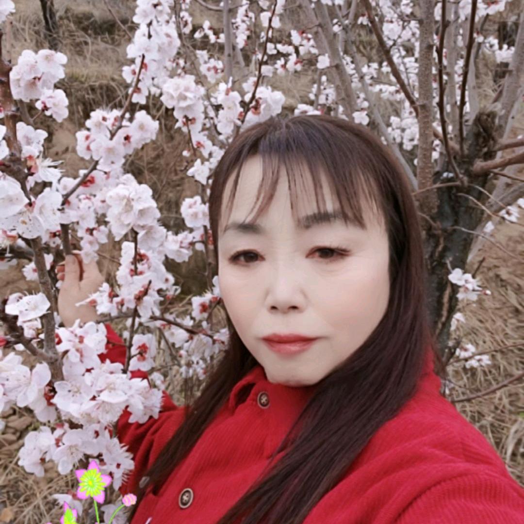 洛川苹果青姐