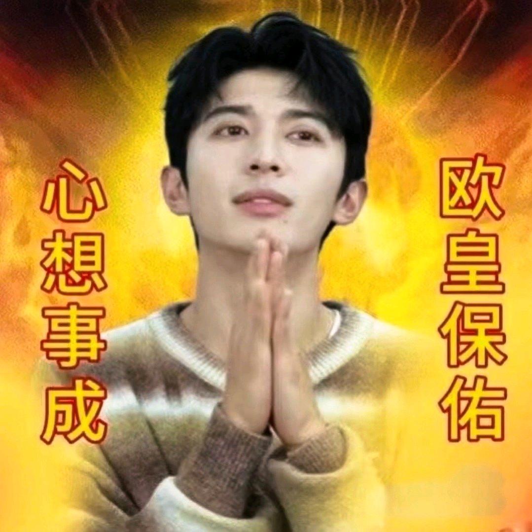 爱吃冻香鸡翅的沈宗主头像