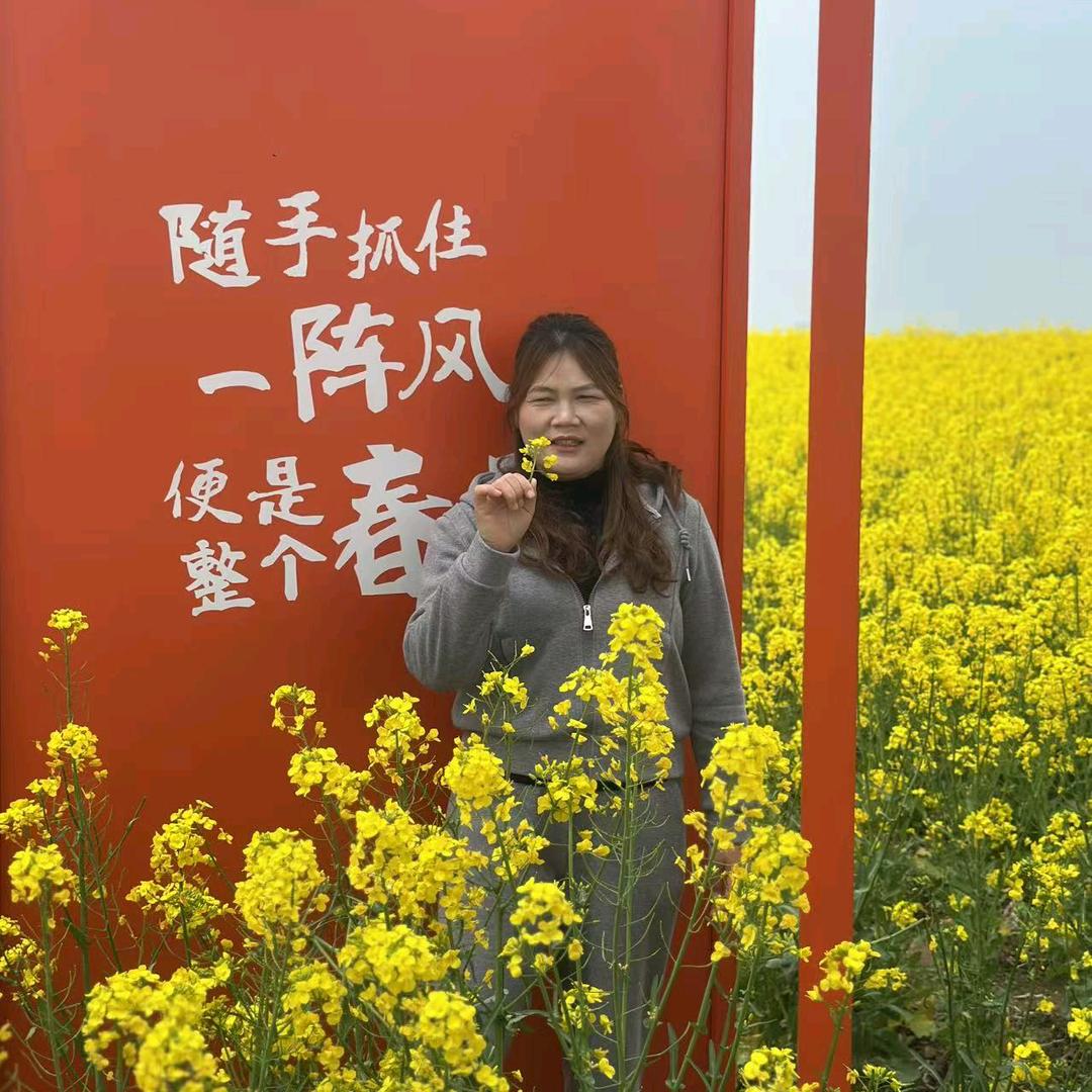 一帆风顺。