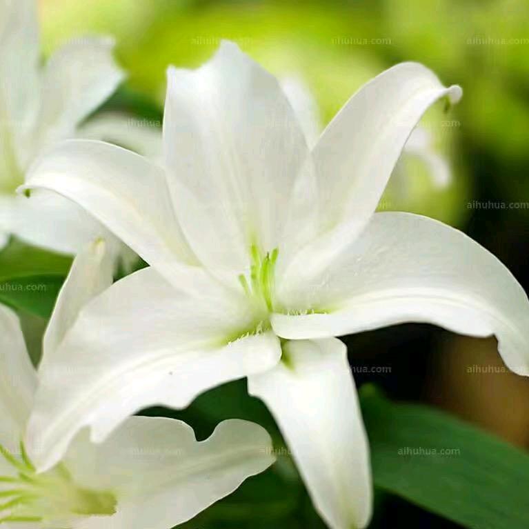 往后余生，有你足够❤️❤️❤️