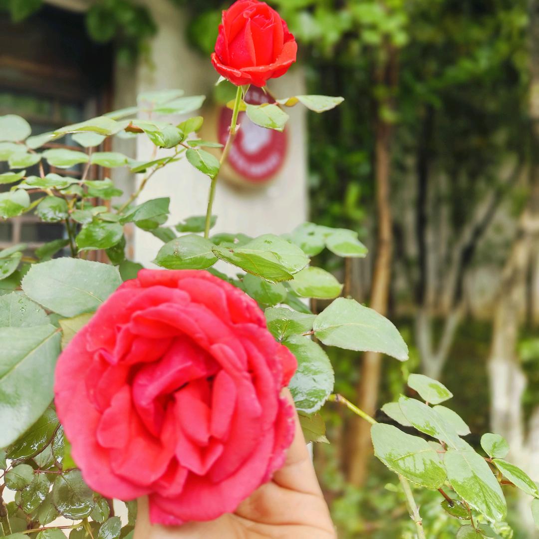 时光不老，我们不散✌拒绝私聊