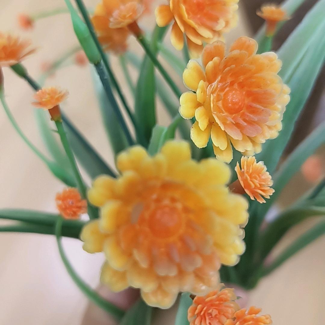 大蕾蕾电子商务