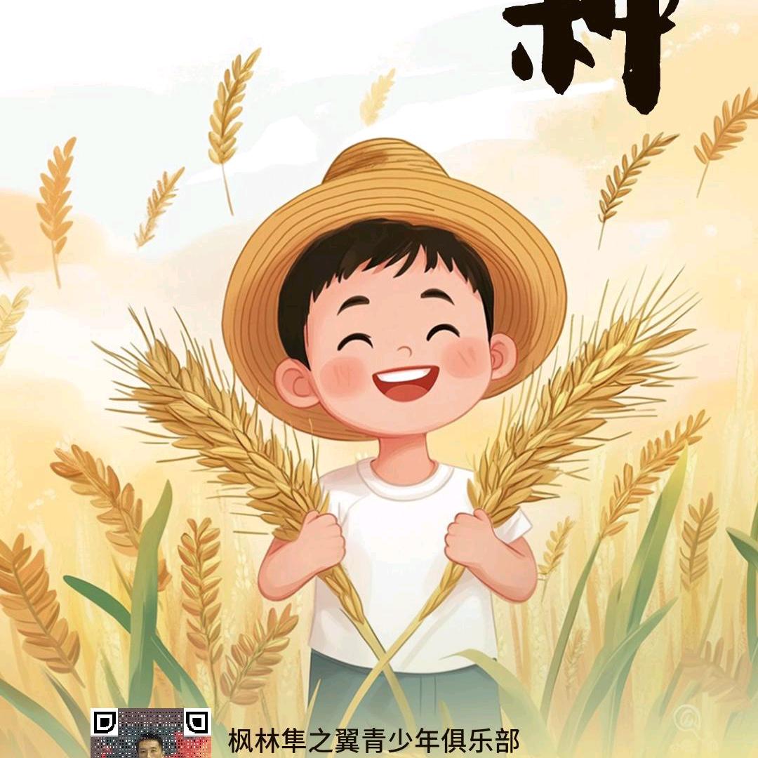 昌吉跆拳道牛教练