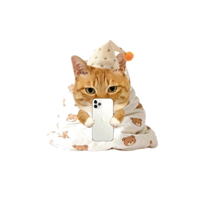 小猫没烦恼