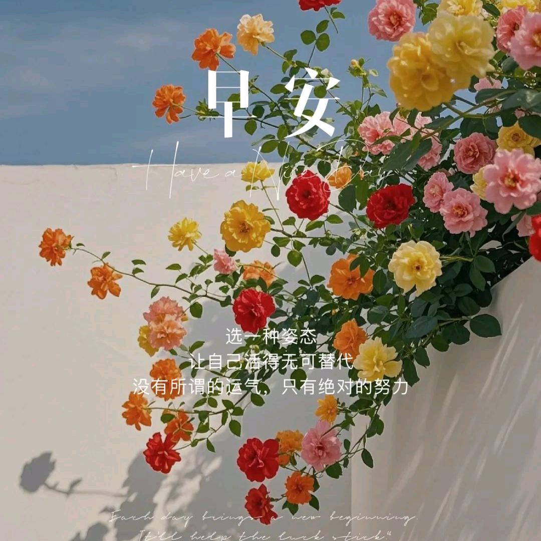 美好🍀🌹