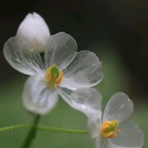 ✨美