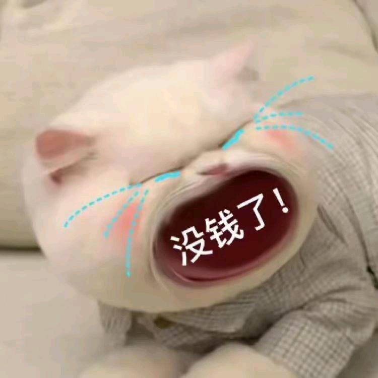 🐷🐷