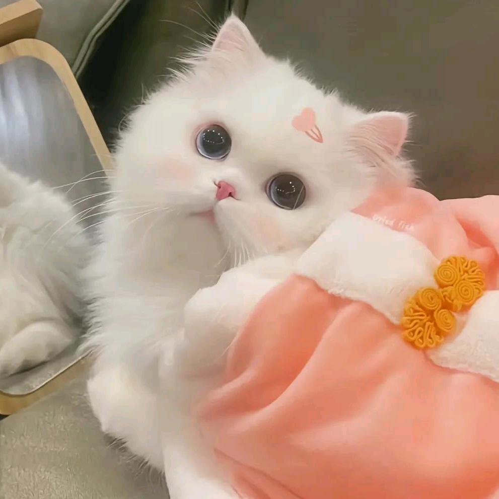 林子大了什么鸟都有