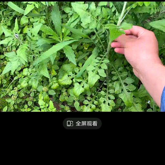 一生平安