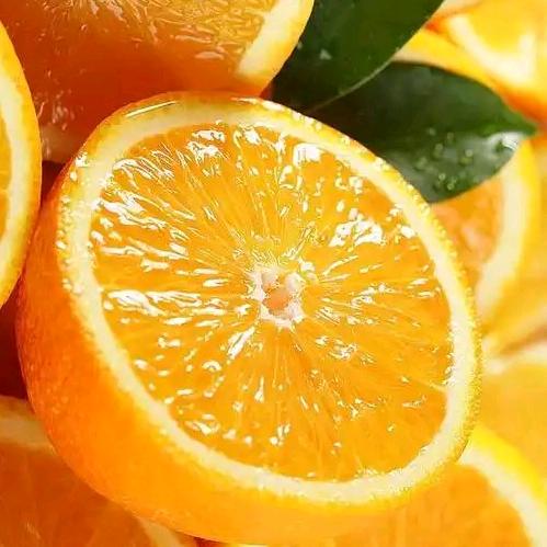 ✧橙子🍊橘子🍊柚子🍊✧
