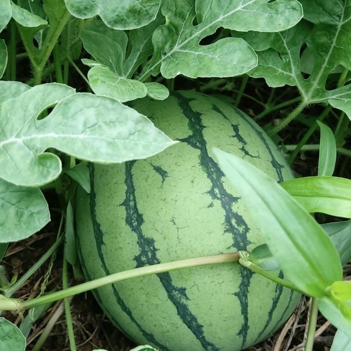 1122