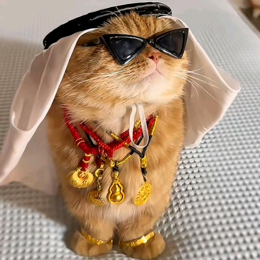 修心