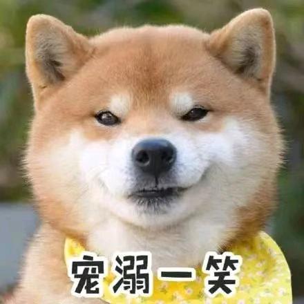 落叶🈚回