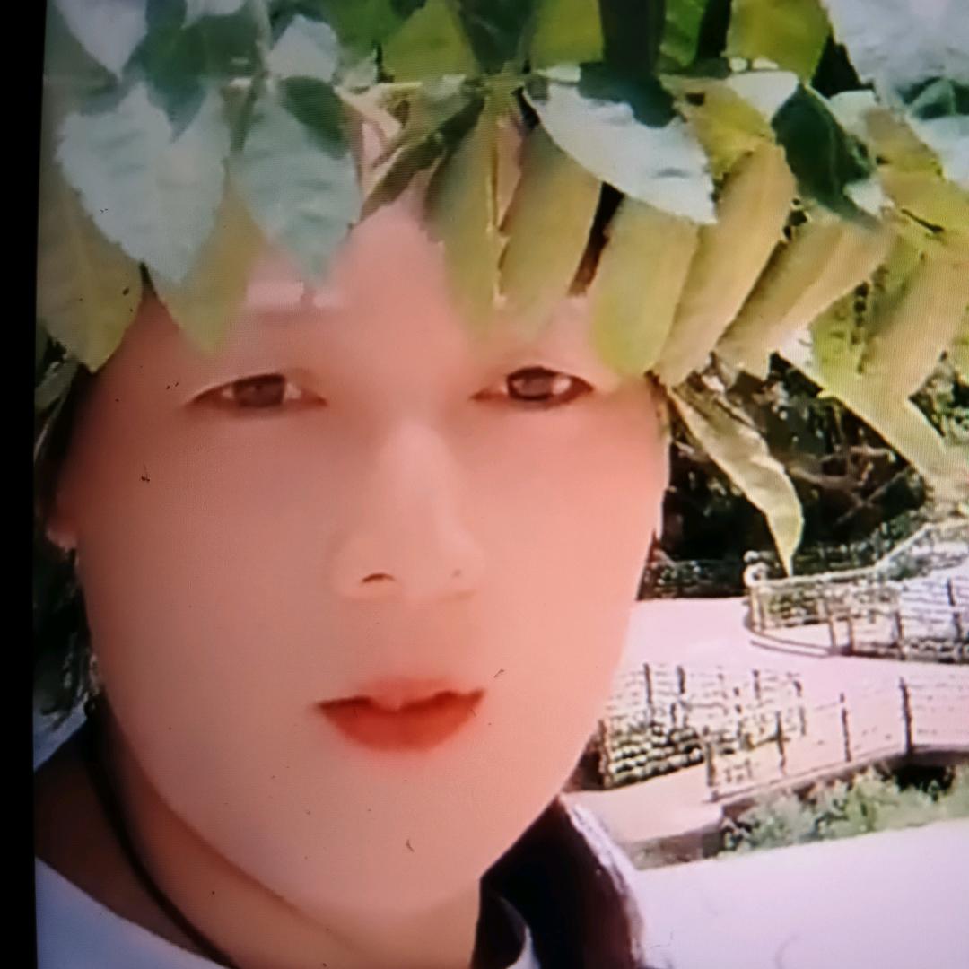 青香芬芳.