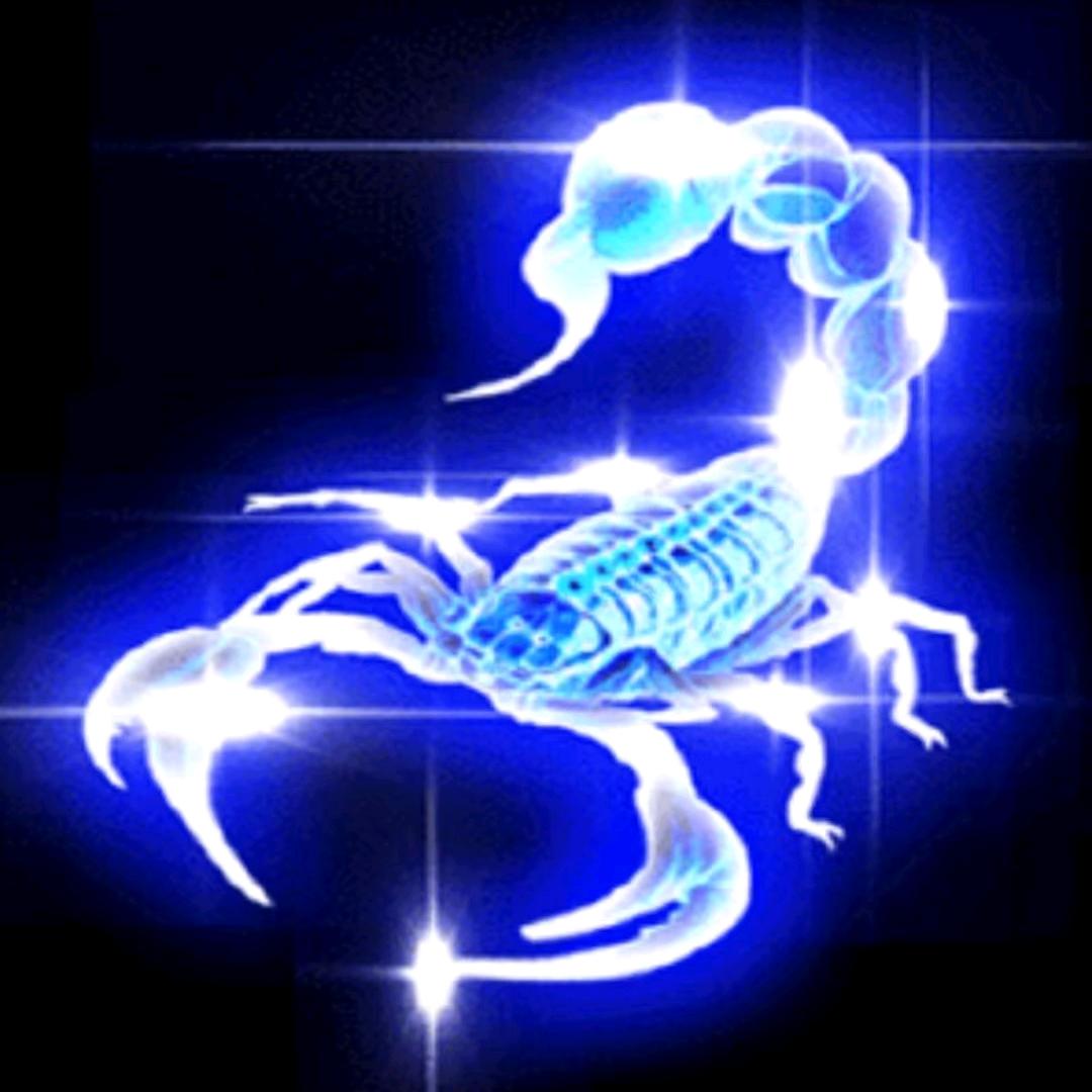 锦阳118