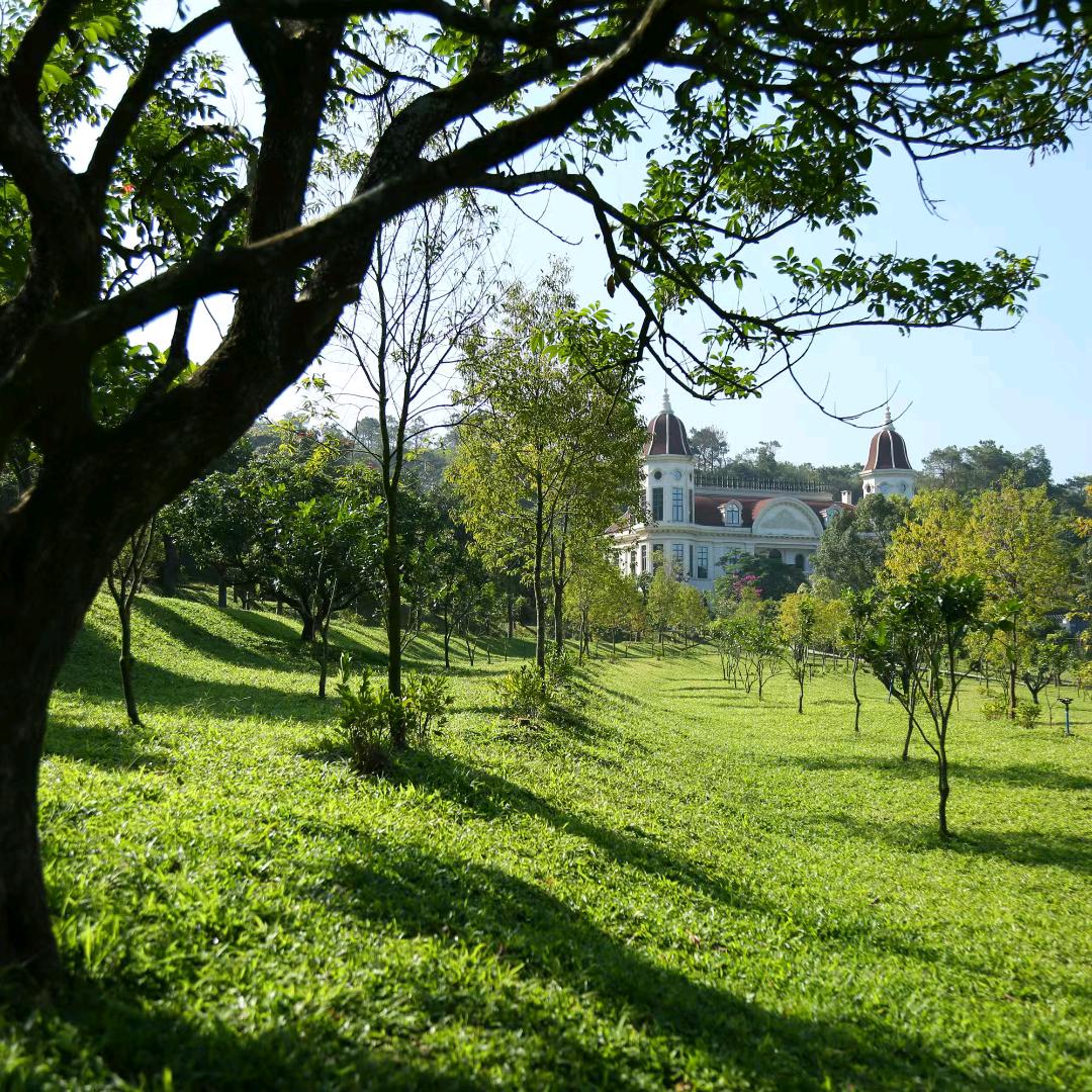 河南达宏商贸！朱总