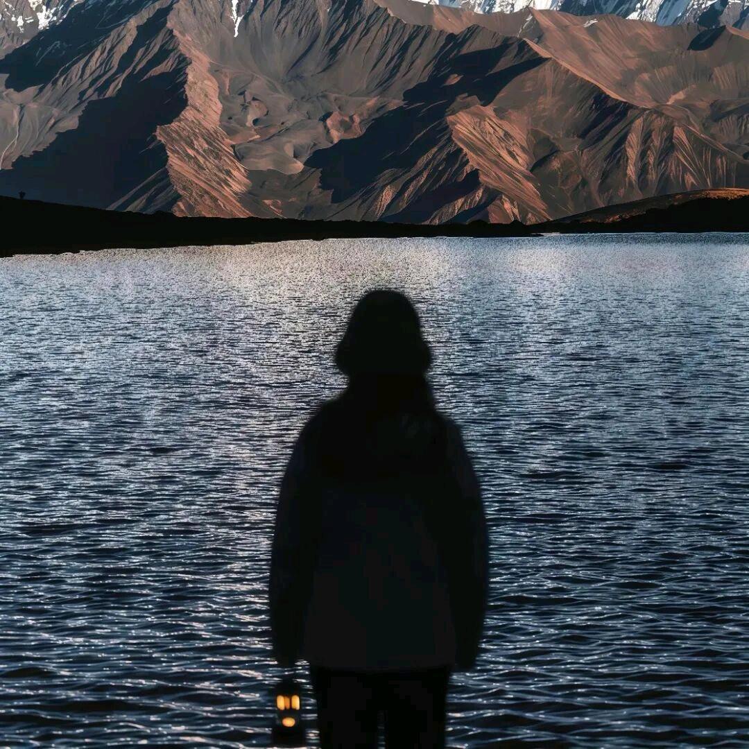 蓝桉长在洱海边