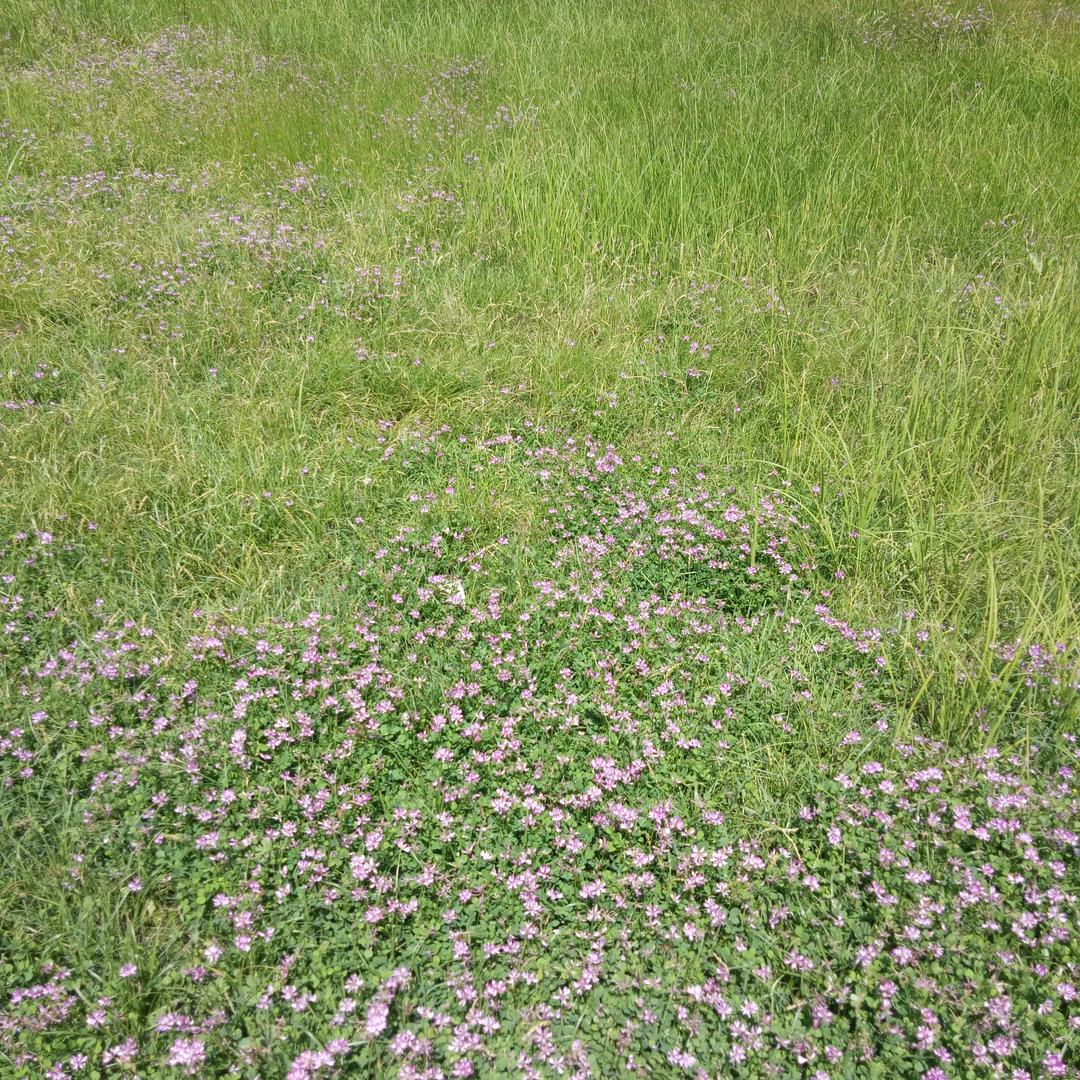 魏还好吗