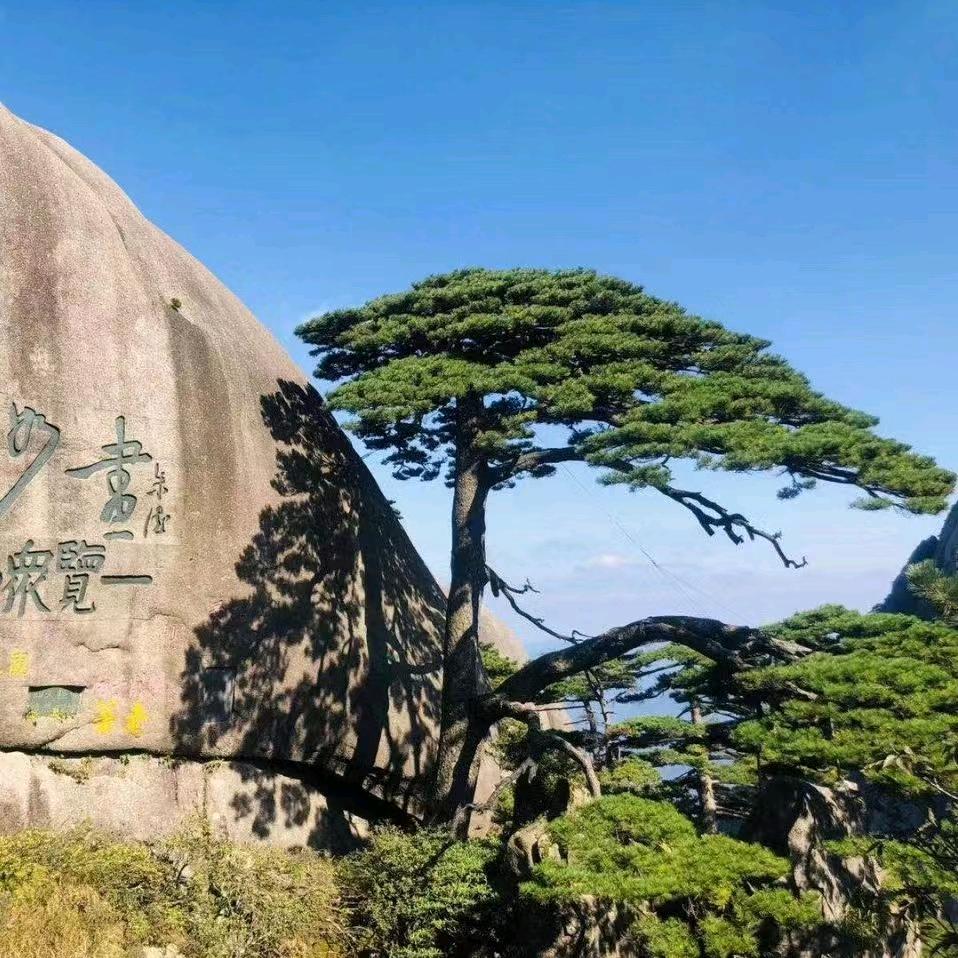 坚持到底（傅）