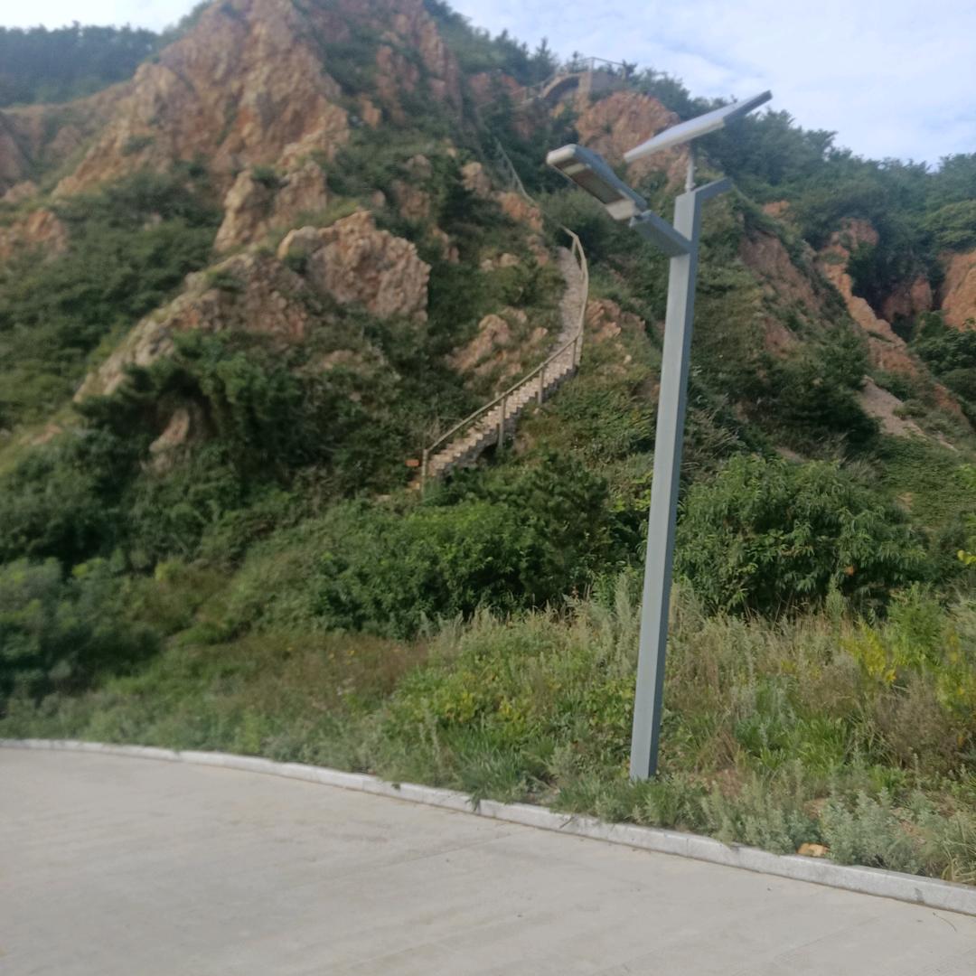 踔砺前行