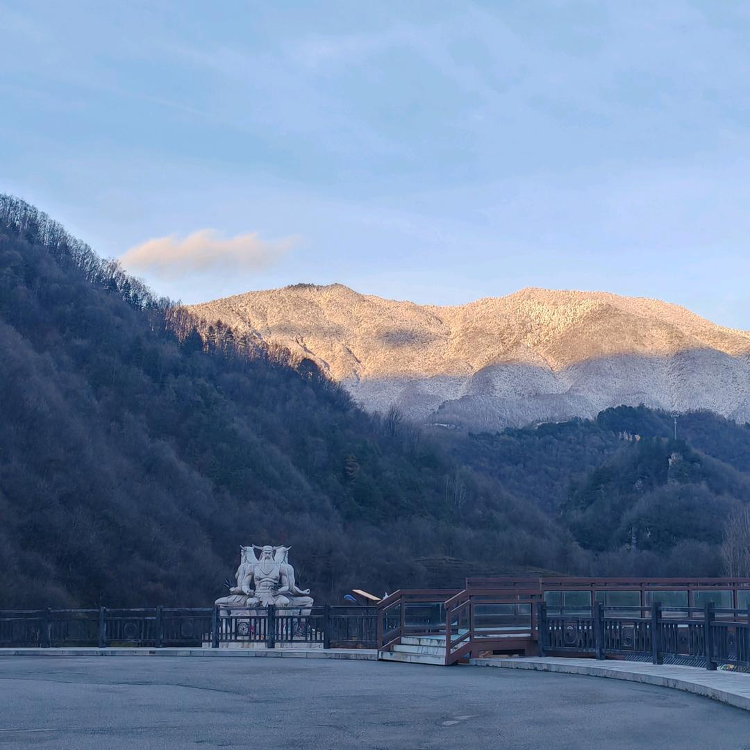 神农架神农奇峰茶业涛仔