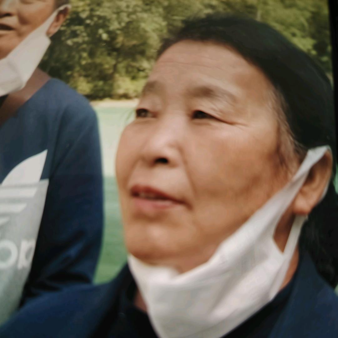 果树苗