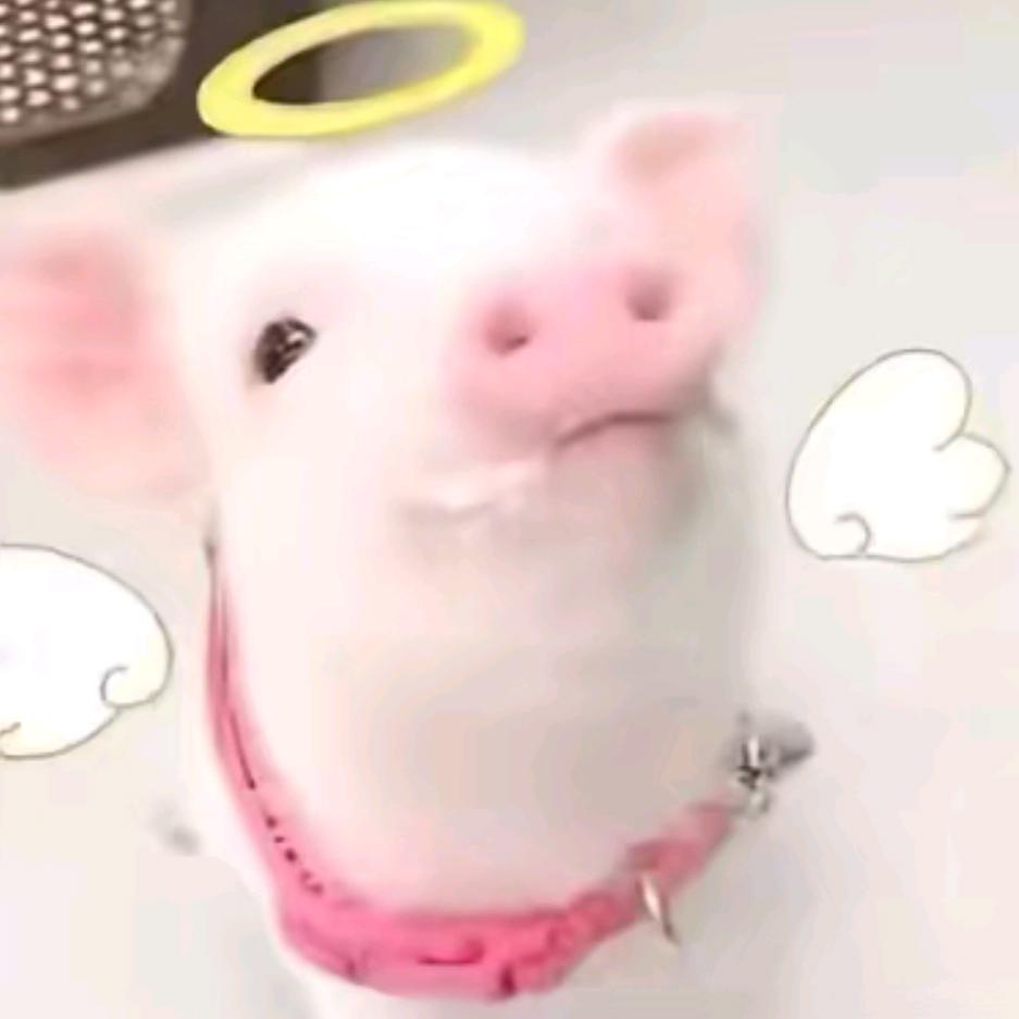 无敌皮豆大玉