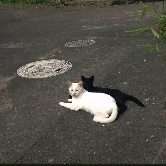 不破不立
