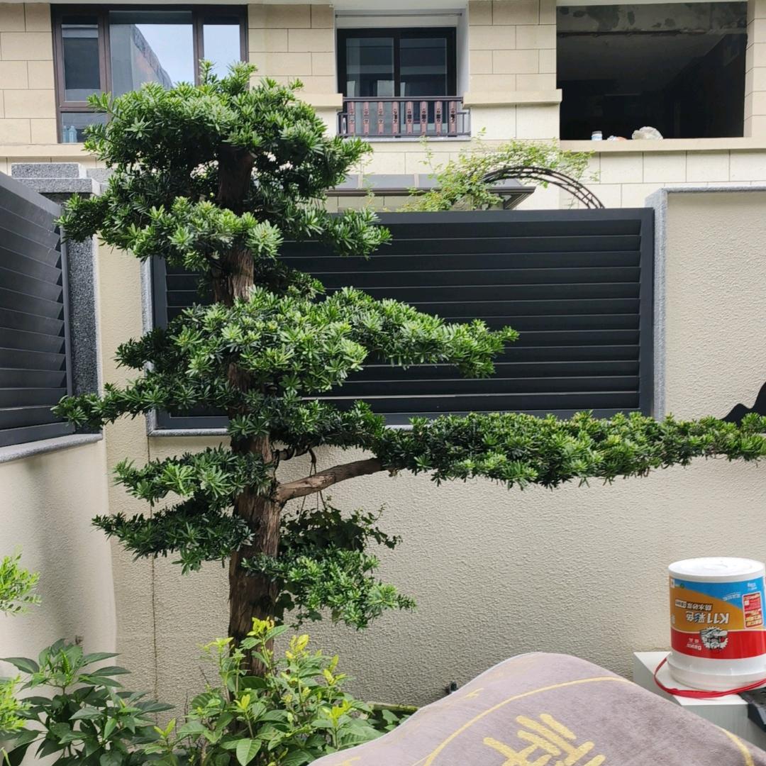 四川至善至美建设工程有限公司
