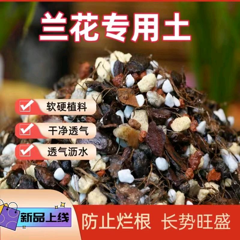 贵州园艺培林兰花植料瓮安县