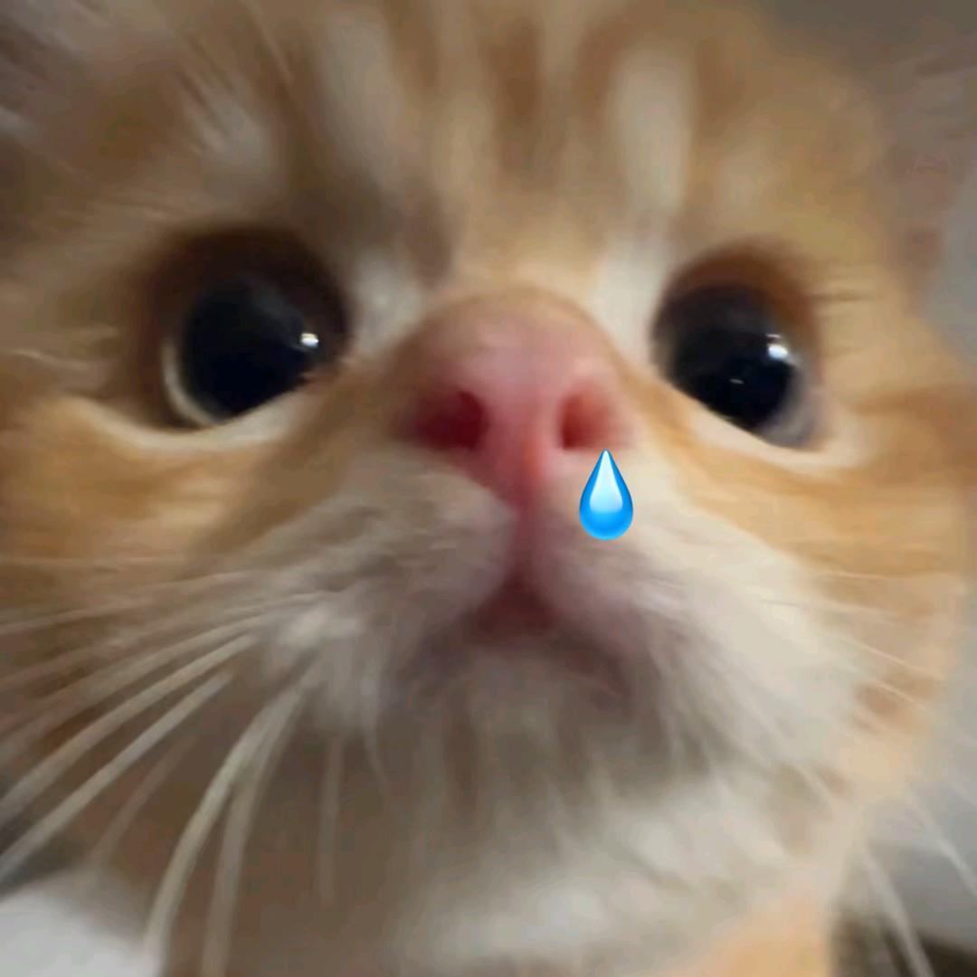 穿女装打csgo拉出去被对面大哥一脚踹死