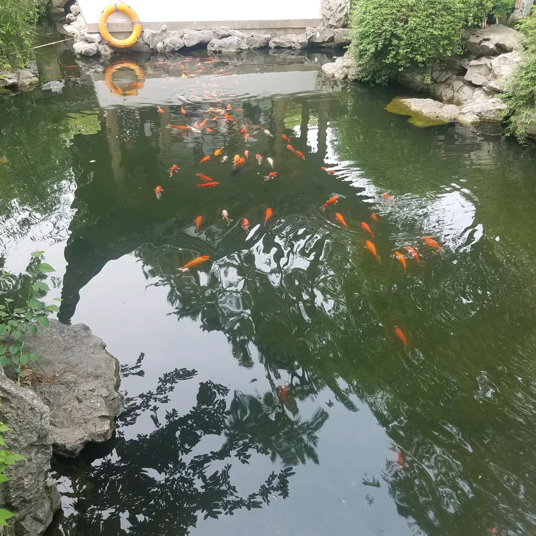 平平淡淡
