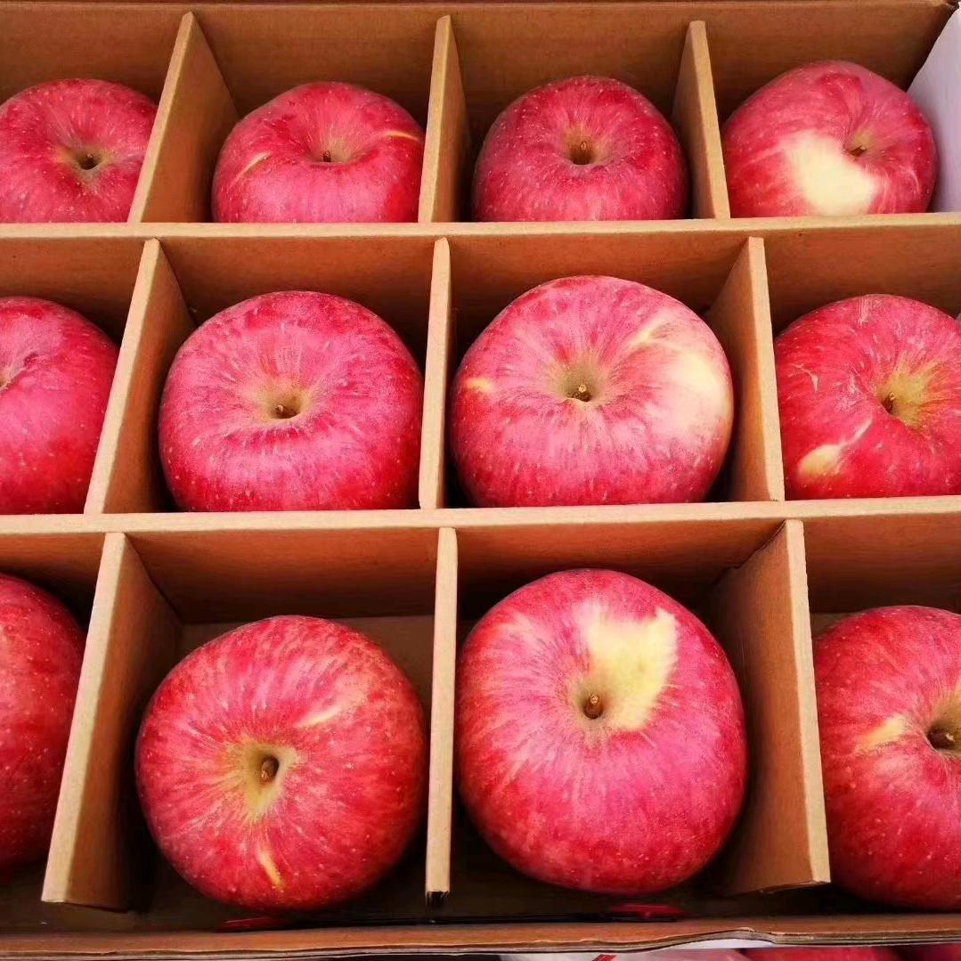 新合果果鲜水果零食店